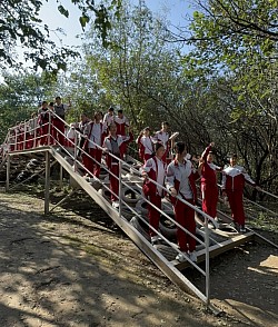 第五季劳动实践活动